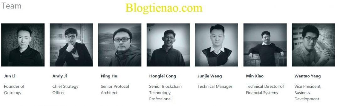 team-ontology