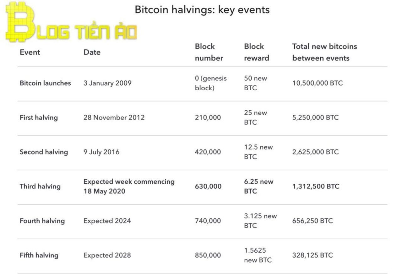 写真でビットコインの歴史を半減