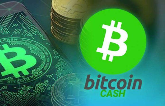 Top 6 Trusted, Safe, and Secure Bitcoin Cash Wallet 2020