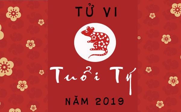tử vi tuổi tý 2019