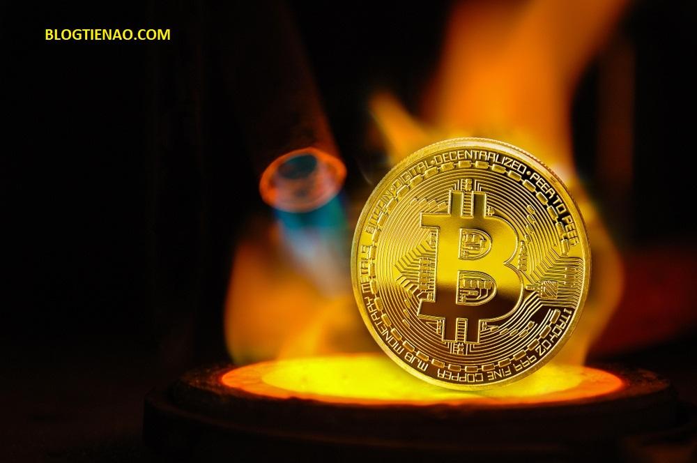 modul în care câștigăm bani online tranzacționarea valutară și bitcoin