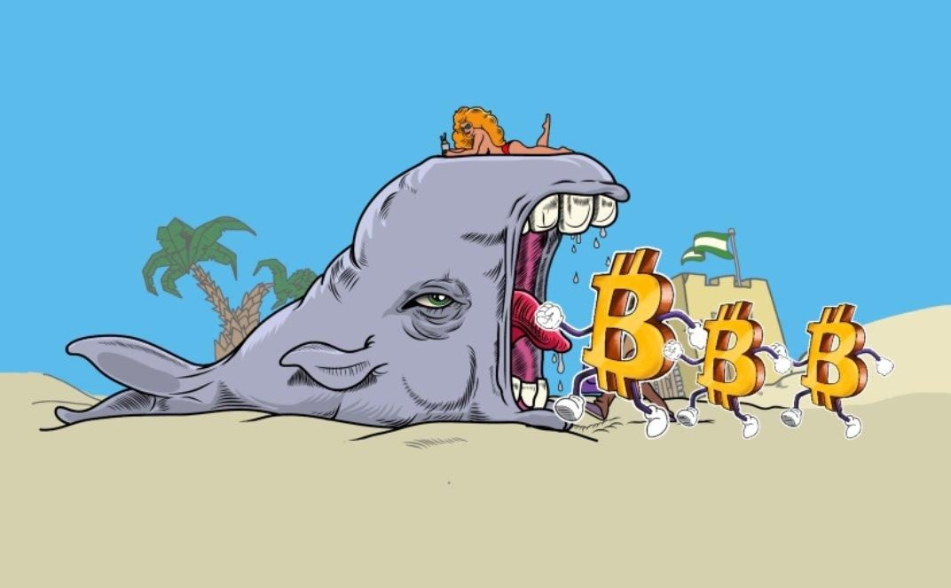 whale bitcoin