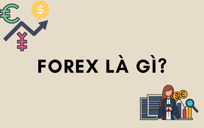 What is the Forex market?  Is Forex a multi-level scam?