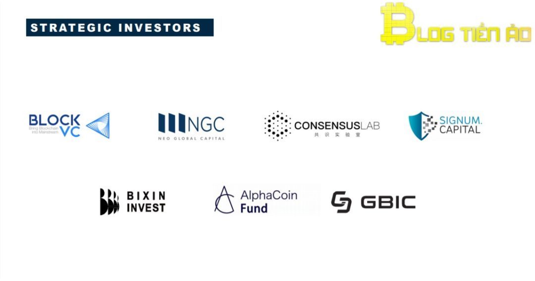 STRATEGIC INVESTORS