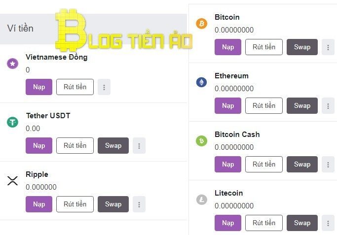 Các loại ví tiền trên Remitano
