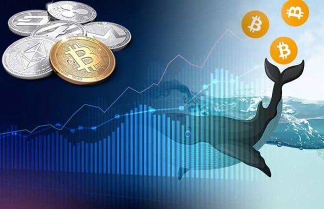 Sau 5 năm "ngủ say", 68.000 BTC đã được di chuyển ra khỏi ví