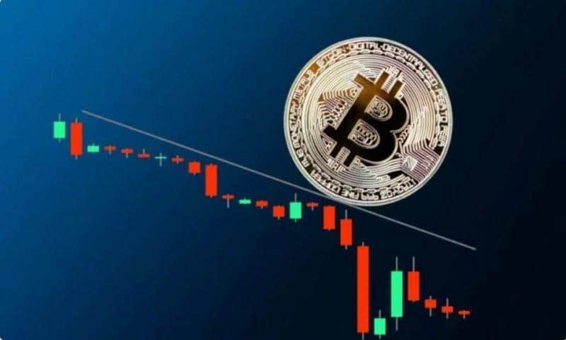 Peter Schiff: Đây là lý do tại sao Bitcoin sẽ lao dốc sau Halving