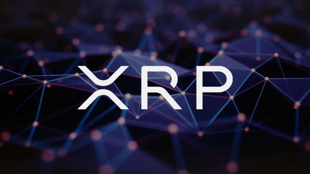 Ripple tiết lộ chi tiết mới về nền tảng giao dịch tiền điện tử bí ẩn