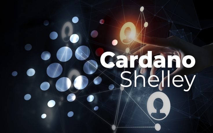 "Cardano đang có nhiều cơ hội để giá trị tiếp tục tăng trưởng"