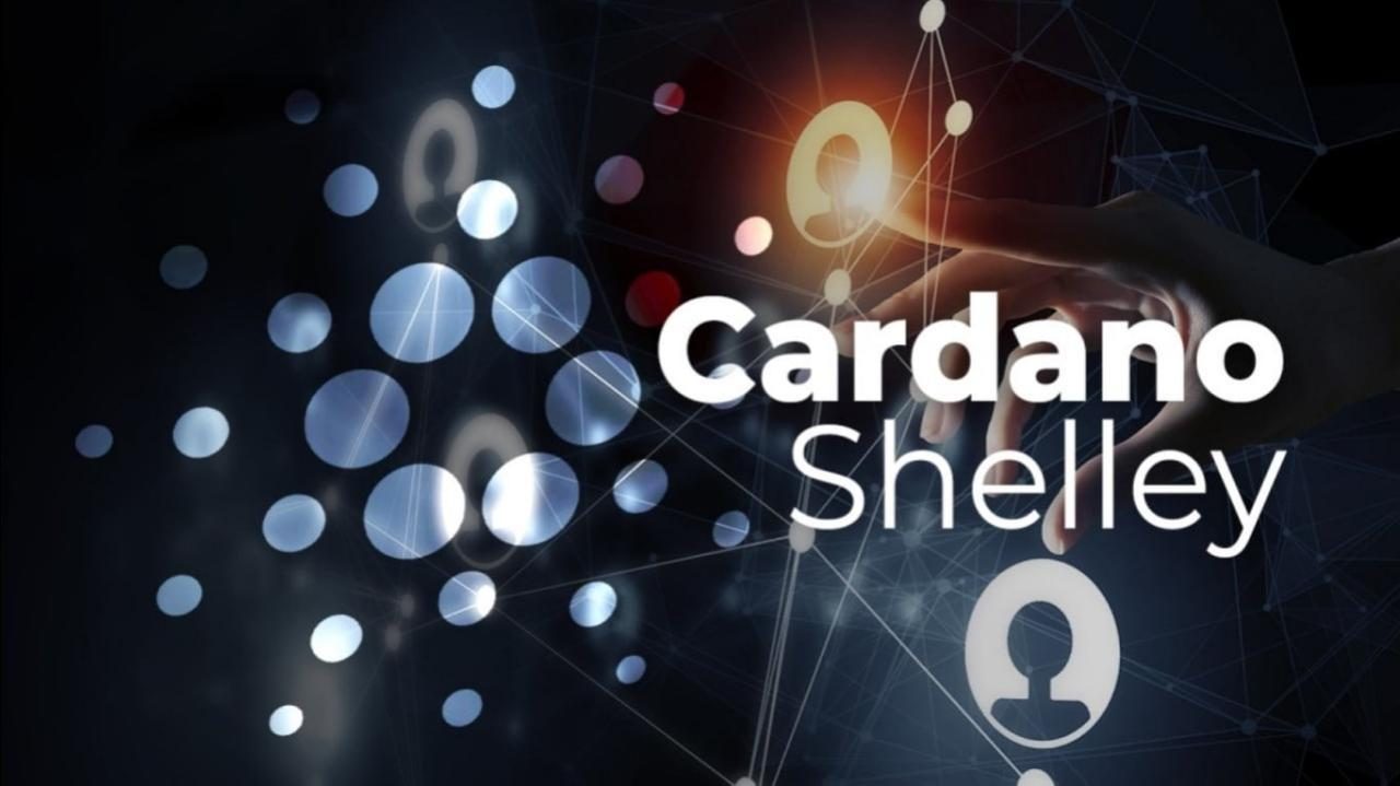 Cardano ra mắt thành công Shelley Mainnet