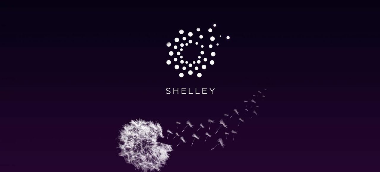 Hoàn thành hardfork Shelley, Cardano đã trở nên thú vị hơn 