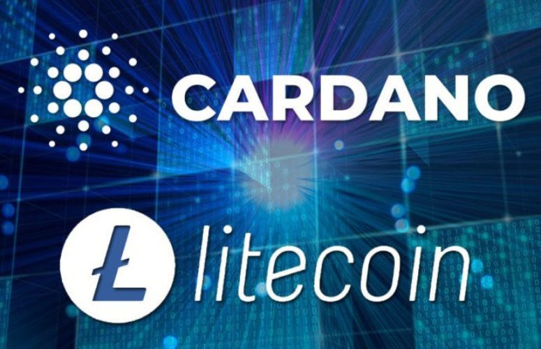 Nhà sáng lập Cardano muốn hợp tác với Litecoin, giá ADA liền tăng vọt