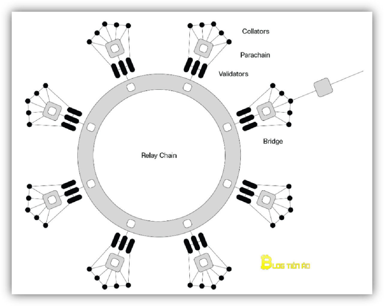 thiết kế mạng polkadot