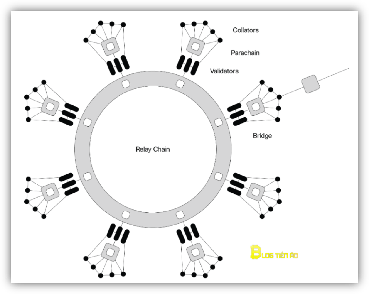 thiết kế mạng polkadot