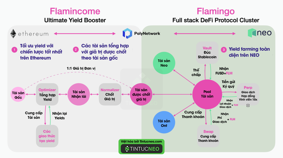 Cashflow Flamincome Flamingo