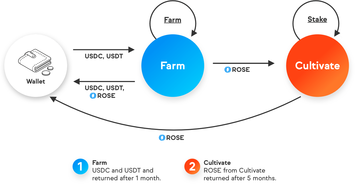 cách kiếm token ROSE