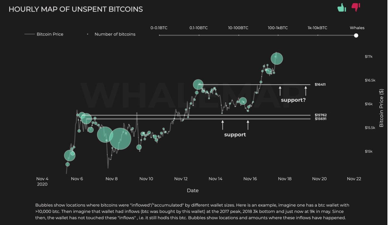 cụm cá voi btc