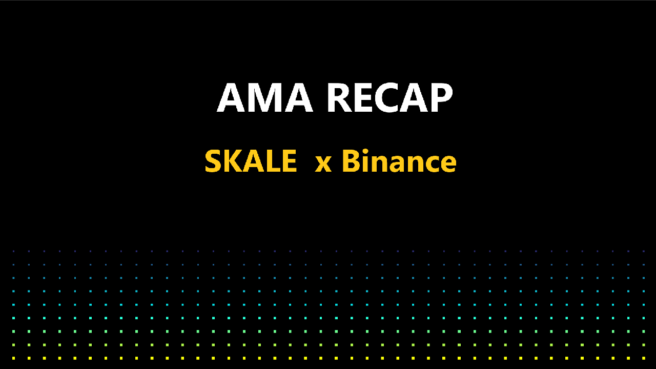 AMA RECAP SKALE NETWORK