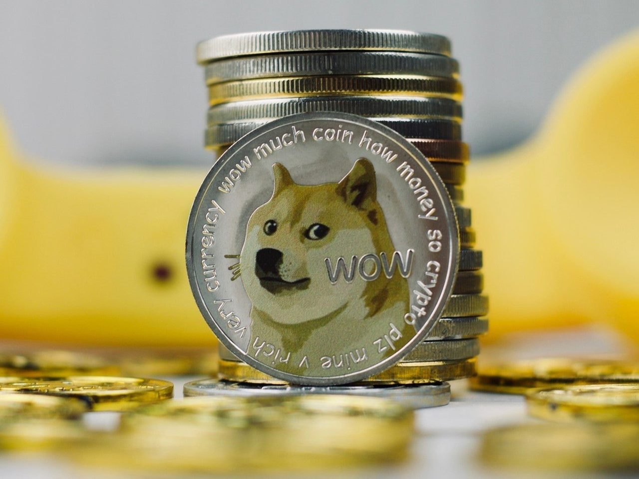 Một nhà đầu tư Việt mất 5 triệu Dogecoin 