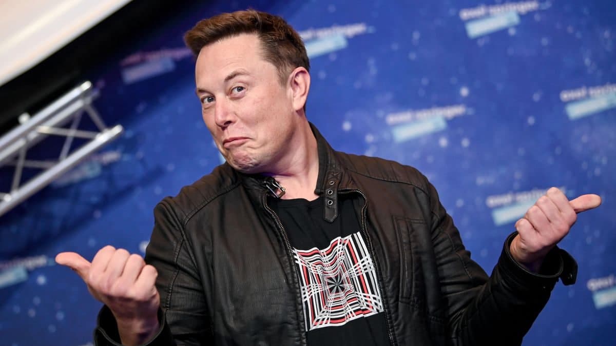 Elon Musk enters the NFT market, releasing a song “praising” Dogecoin?