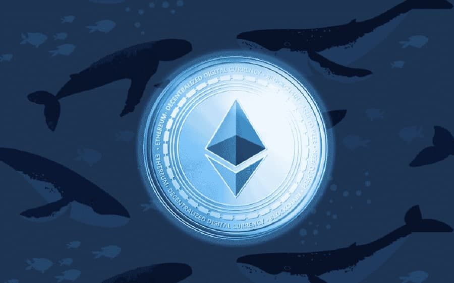 Top 10 địa chỉ cá voi Ethereum tích lũy thêm 1 triệu ETH chỉ trong một ngày