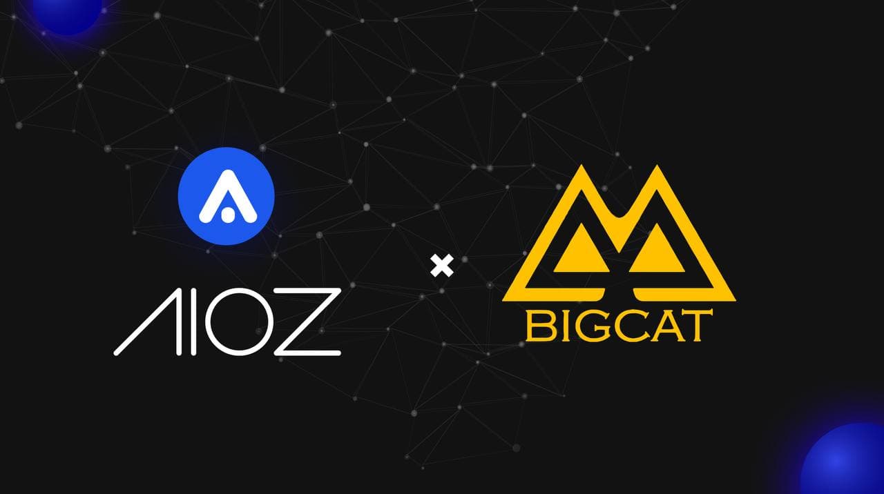 AIOZ Network announces cooperation with Big Cat Entertainment