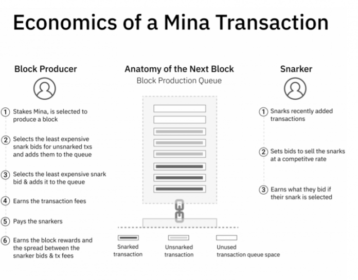 Mina protocol обзор