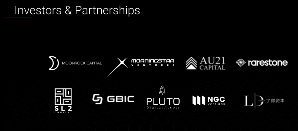 polkalokr partners backers