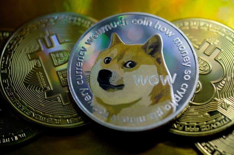 Những lý do tại sao người mới nên tránh xa Dogecoin