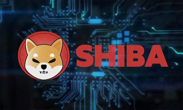 shiba la gi