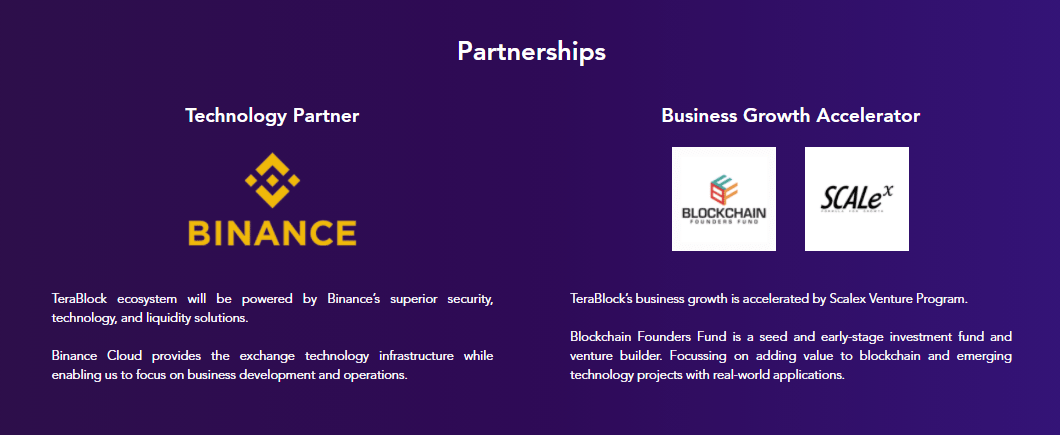 terablock-partnership