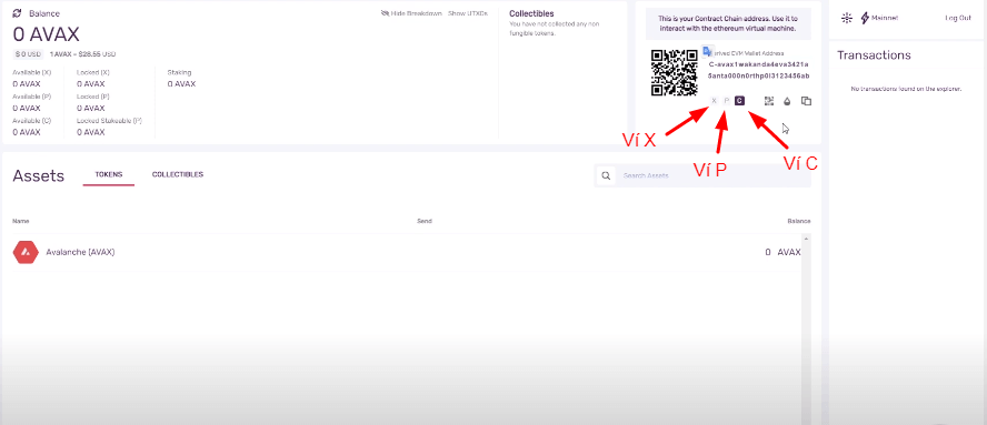 The Most Detailed Guide On How To Trade On Pangolin