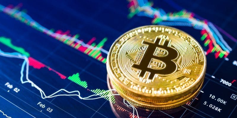 Cá voi Bitcoin quay lại thị trường