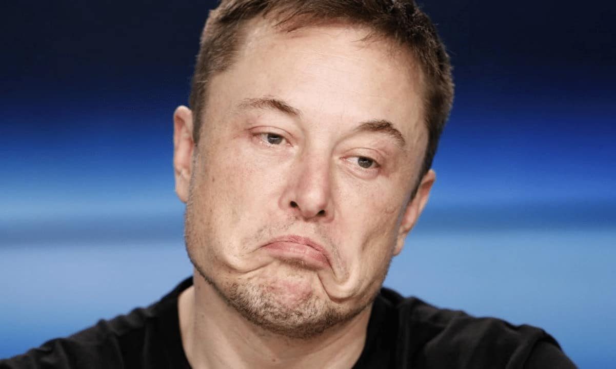 Cá voi Bitcoin tiếp tục tích lũy trong "cơn bão" do Elon Musk gây ra