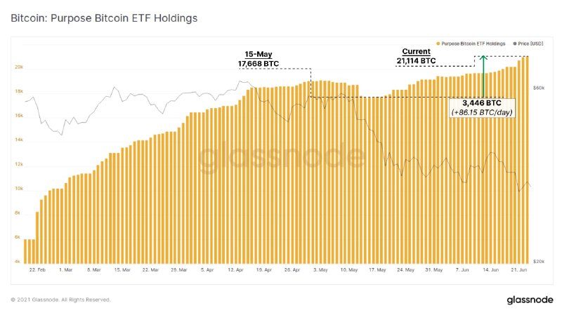 quy btc etf