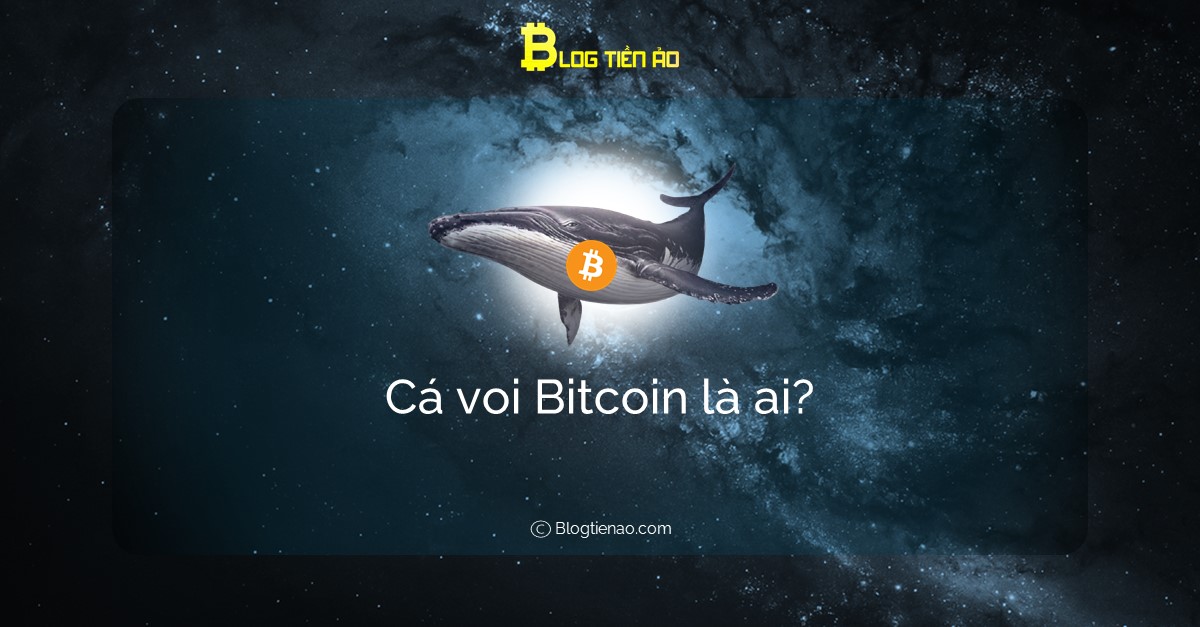 Cá voi Bitcoin là ai? Cá voi thao túng thị trường như thế nào?