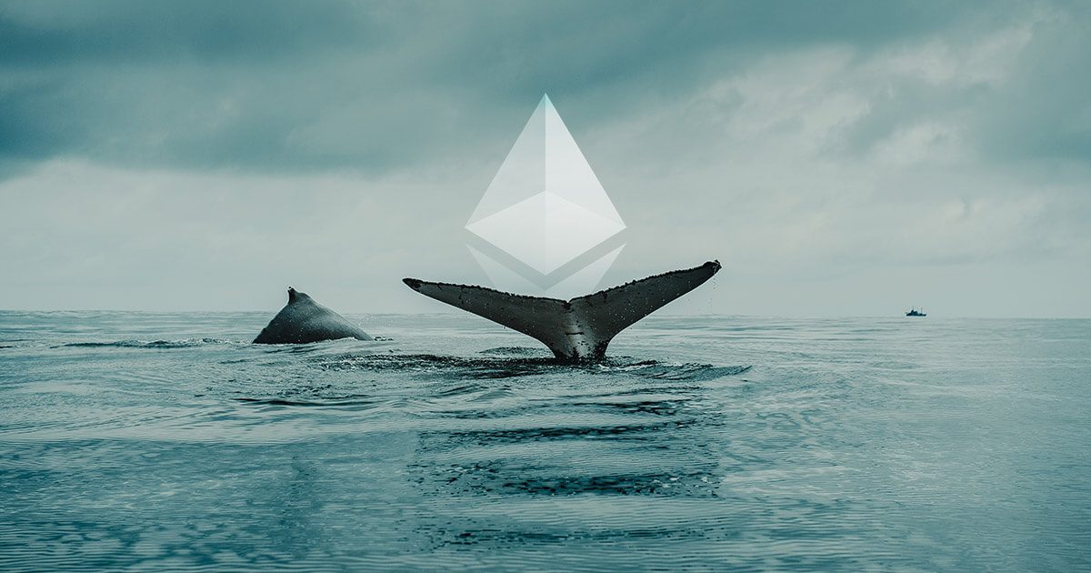 Santiment: Cá voi Ethereum đang âm thầm tích lũy thêm