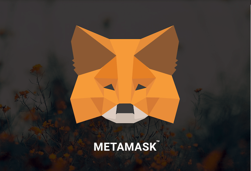 i cannot see my token metamask