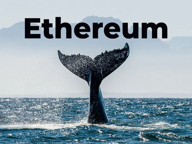 Cá voi ETH 'mua mạnh' trước hardfork London