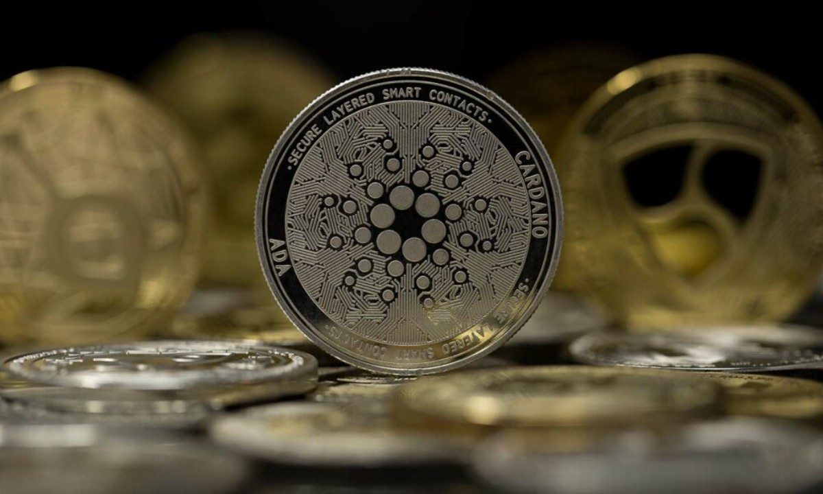 'Tiềm năng sinh lời' của Cardano mà bạn cần biết