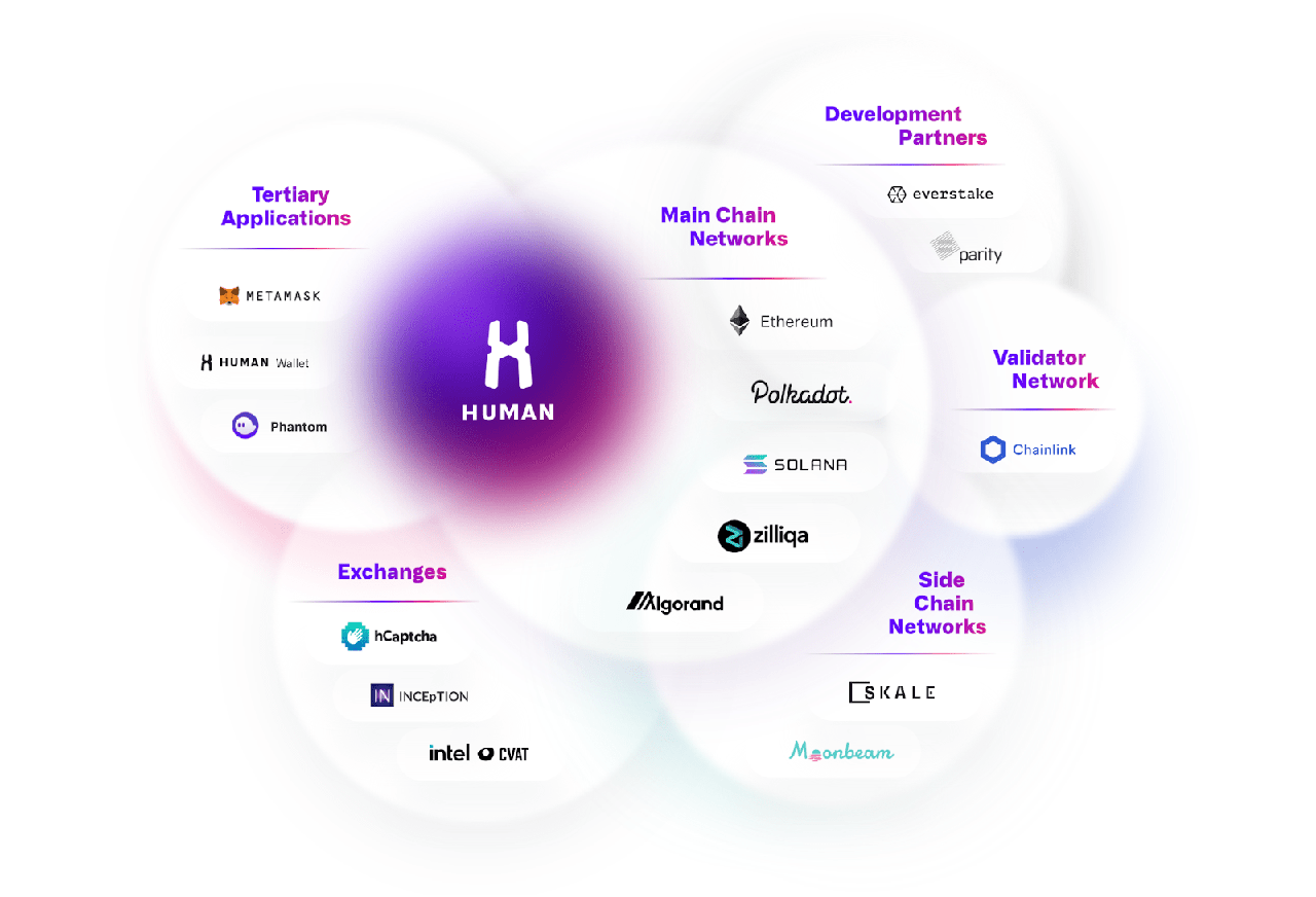 hmt-partner