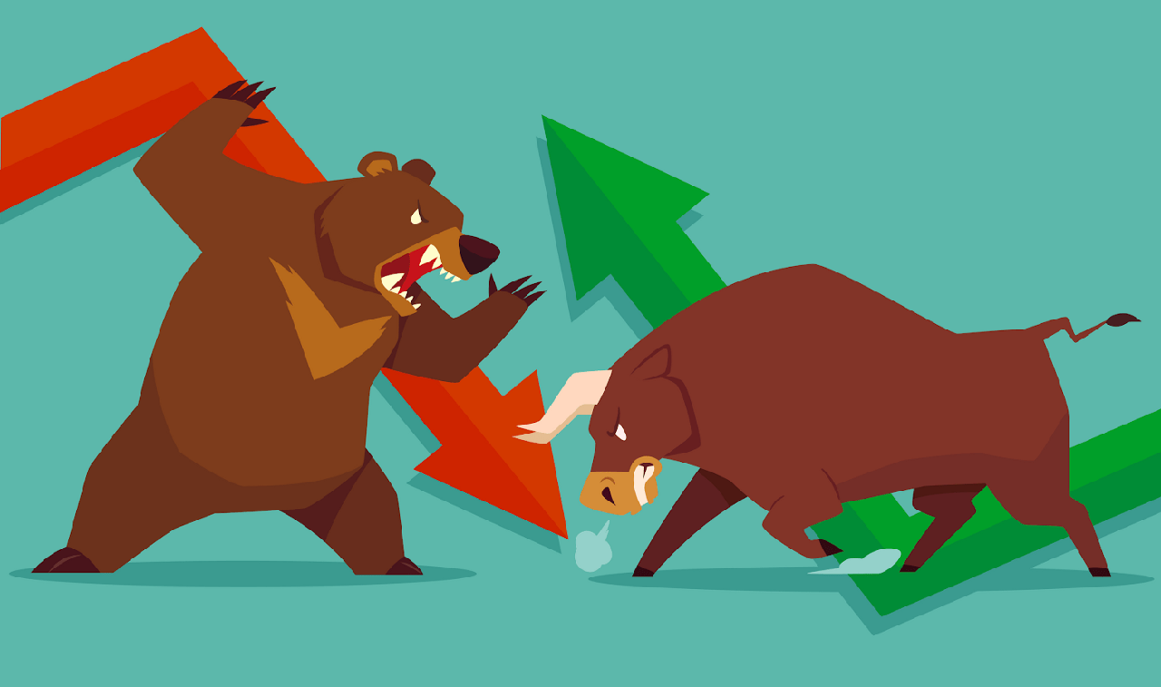 bull and bear