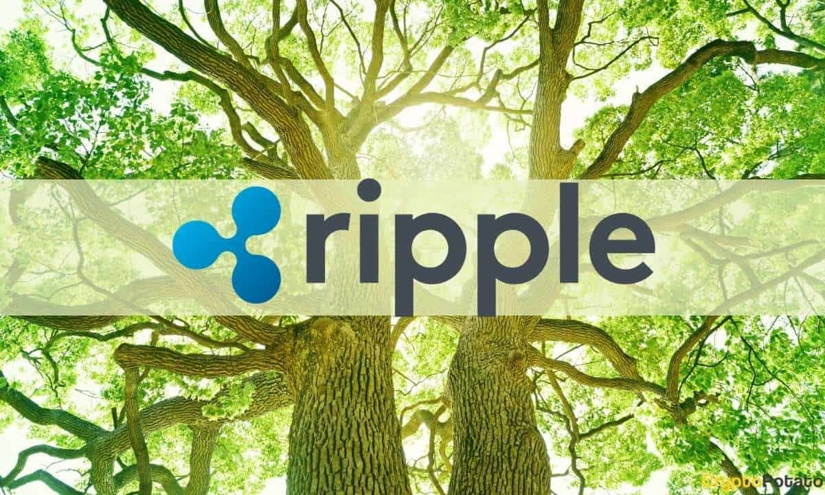 Ripple thành lập quỹ năng lượng mặt trời 44 triệu USD