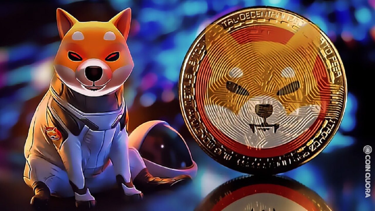 shib coin