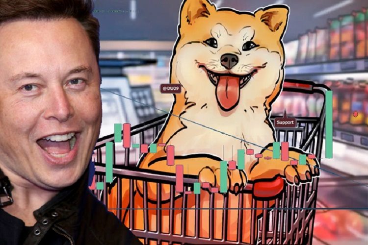 Elon Musk chỉ nói một câu, giá SHIB lập tức quay đầu