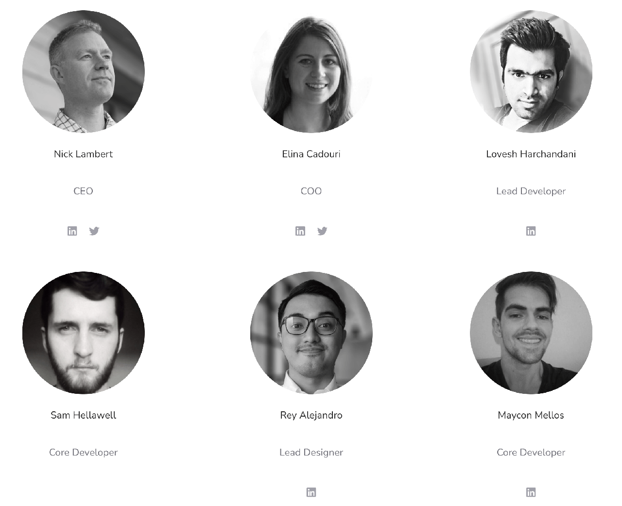 Dock Network Team 01