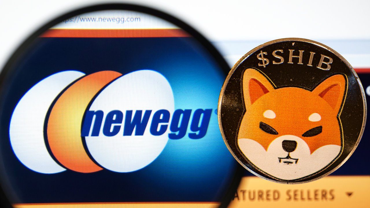 Xác nhận: SHIB sẽ có mặt trên Newegg vào đầu tháng 12