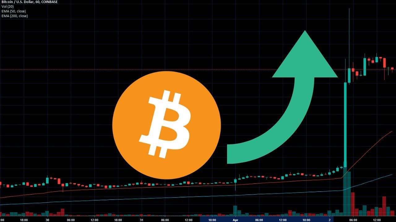 Bitcoin MACD phát tín hiệu tăng giá sau gần hai tháng 'im hơi'