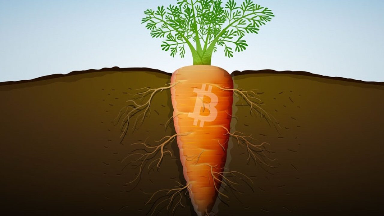 btc taproot