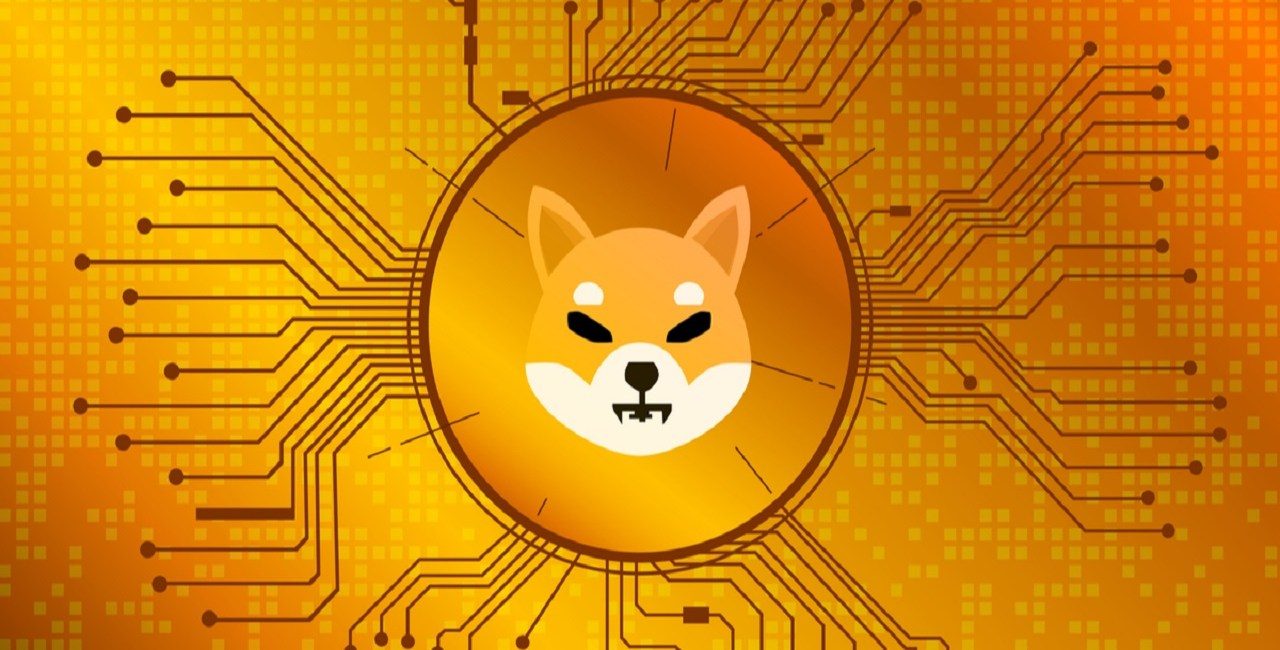 shiba coin